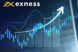 Exploring the Exness Web Platform A Comprehensive Guide